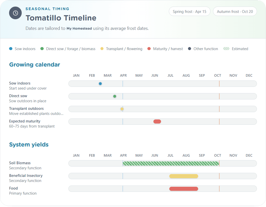 Tomatillo seasonal timeline showing indoor sowing, direct sowing, transplanting, maturity, and system yield windows against local frost dates